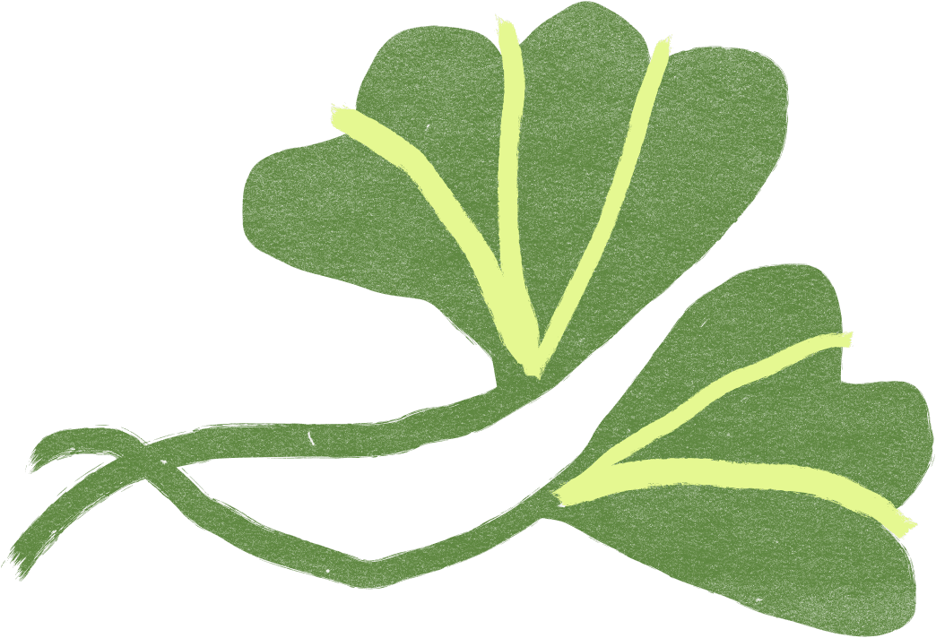 Ginkgo leaf pair in apple green with bright yellow-green veins