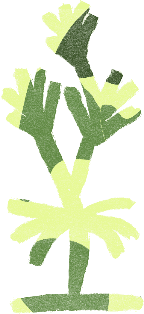 Plant illustration in two greens, a branching stem with broad
                    fanned leaves
