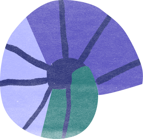 Nautilus shell in pale violet, deep violet and teal segments