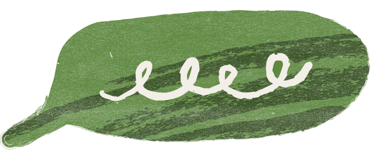 Apple-green speech bubble with a cream squiggle