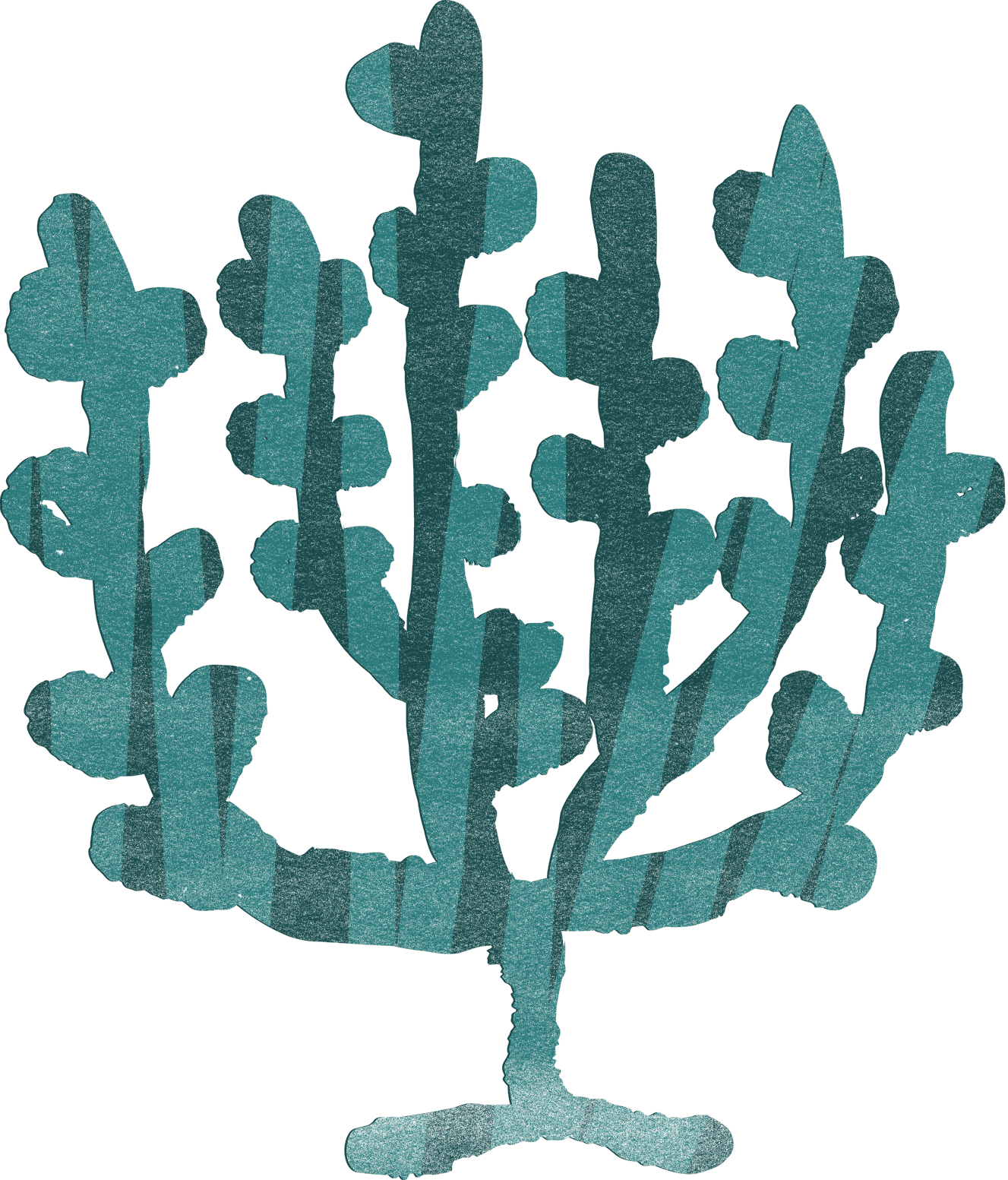 Teal bush with a slender trunk and upright branches ending in rounded lobes