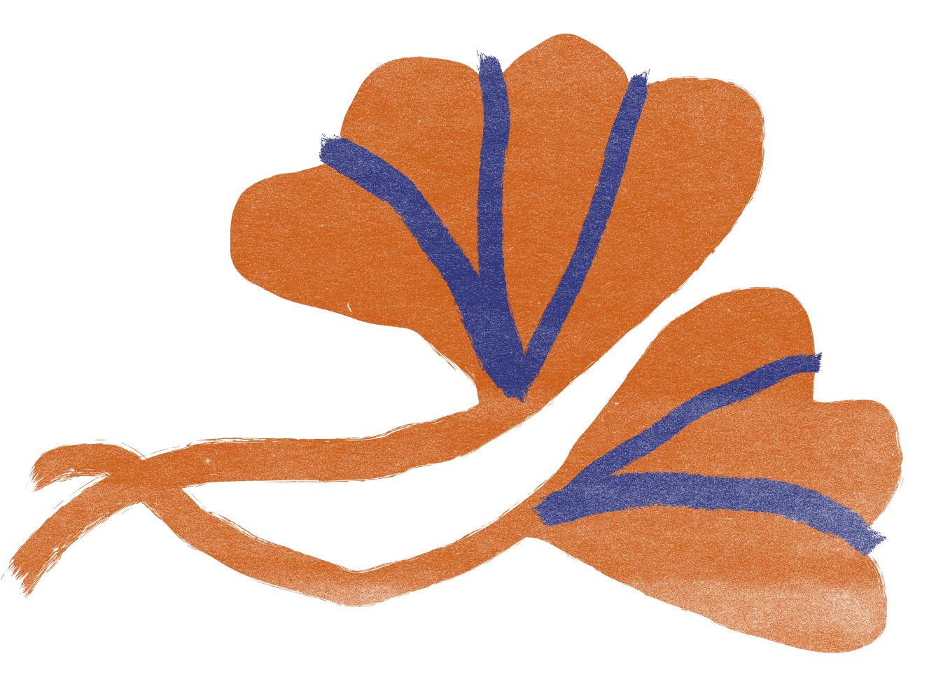Two burnt orange ginkgo leaves with navy veins on a trailing stem
