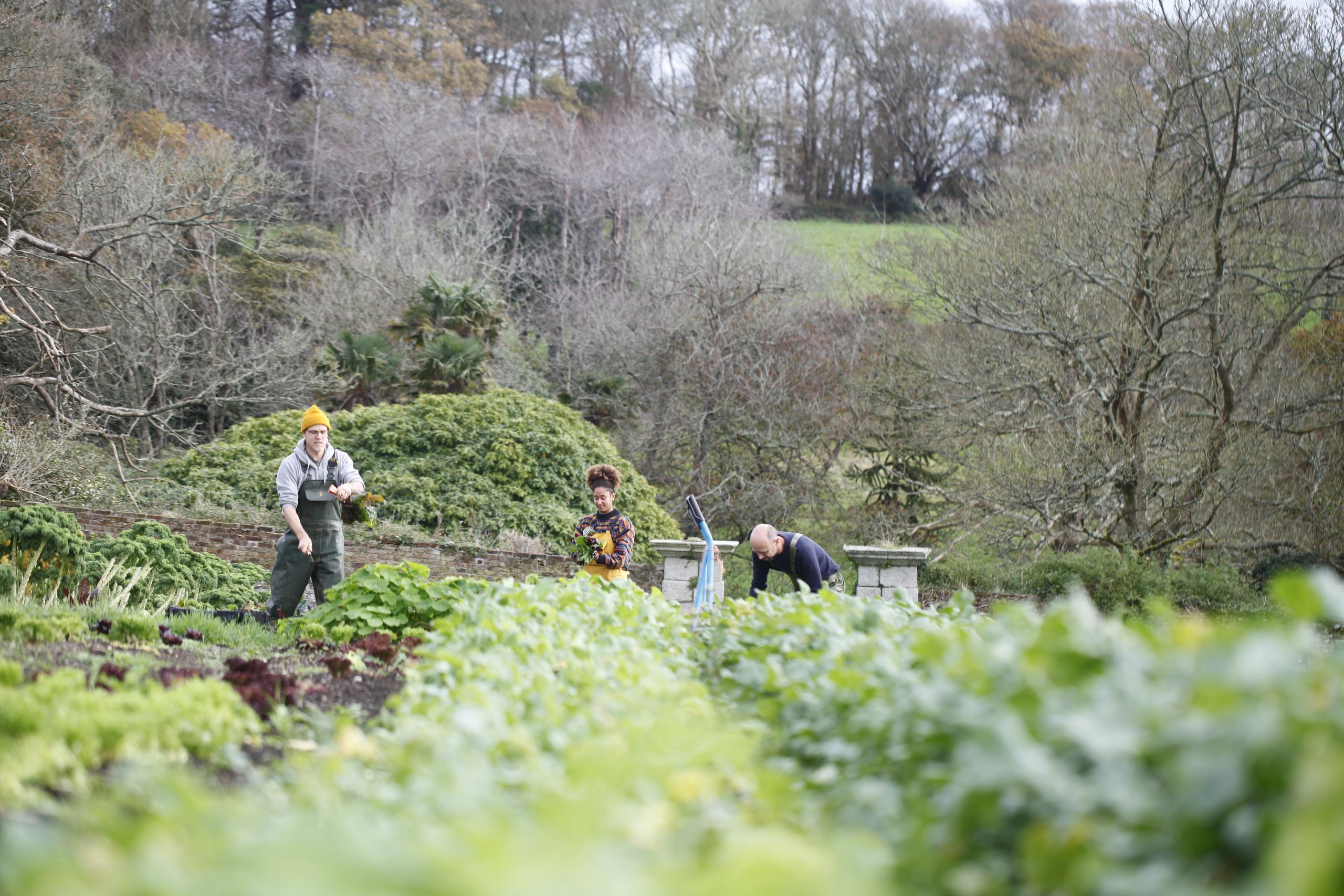 People tending vegetable beds on a wooded hillside farm
