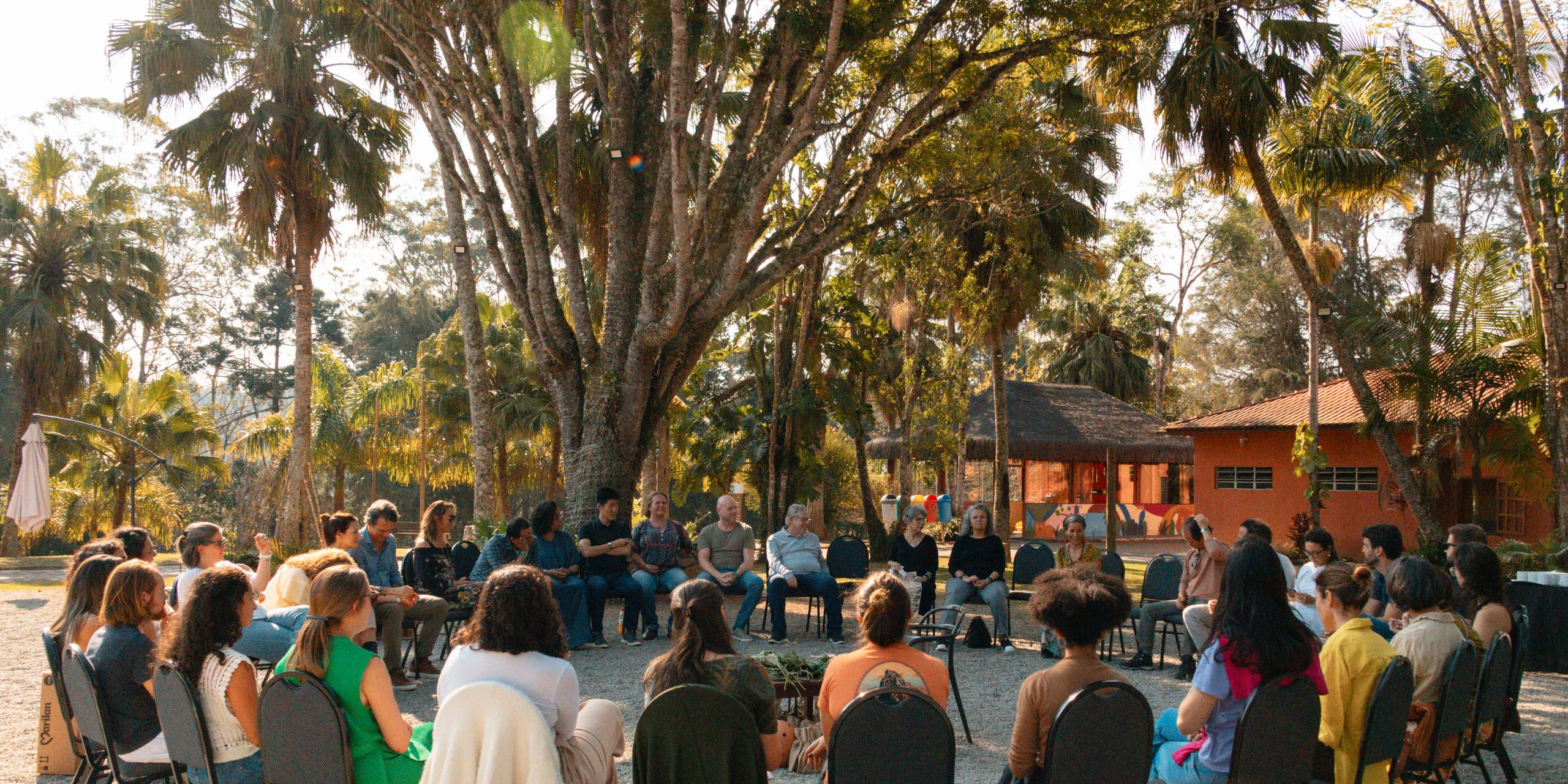 A large group seated in a circle beneath tall palm trees