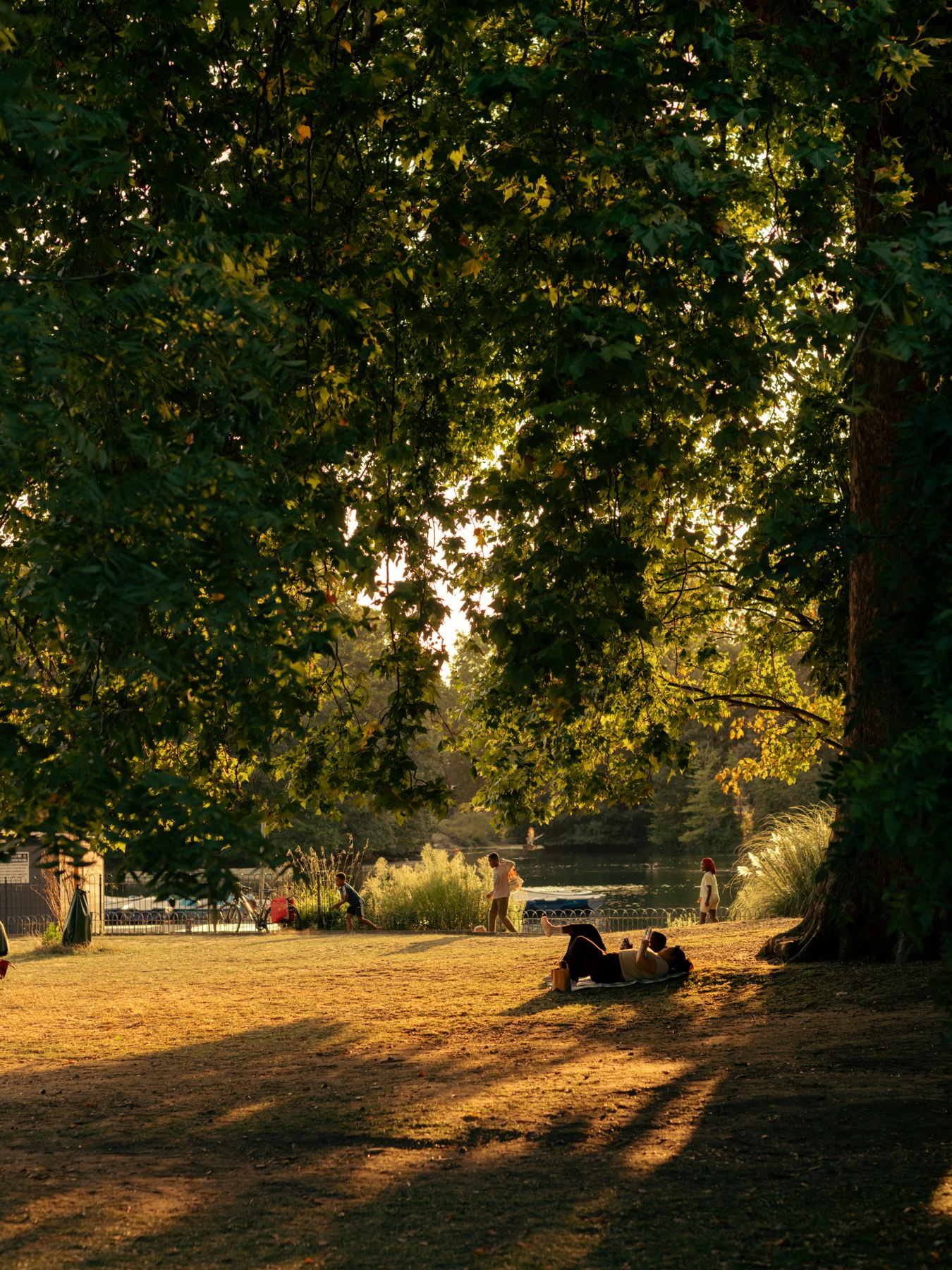 Evening sun through the trees of a park, with people resting on the grass by a lake