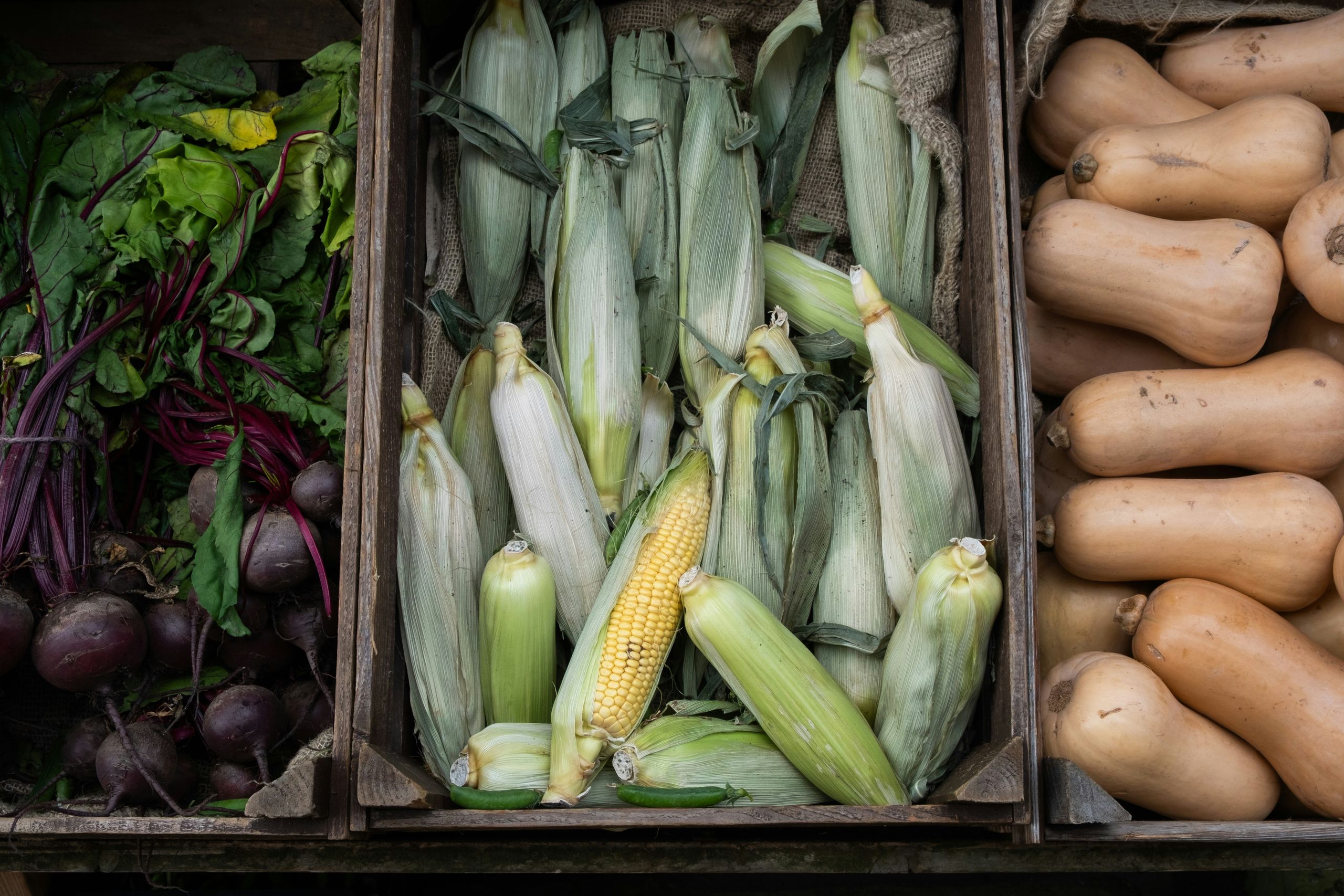 Wooden crates of beetroot, sweetcorn in its husks and butternut squash